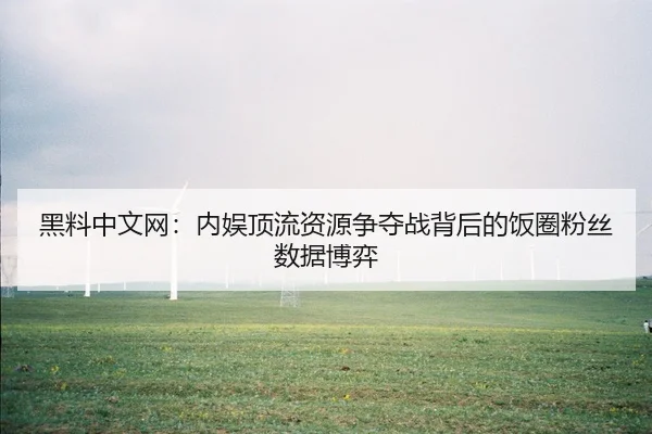 黑料中文网：内娱顶流资源争夺战背后的饭圈粉丝数据博弈